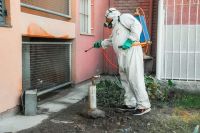 Confirmaron la segunda muerte por dengue en San Juan