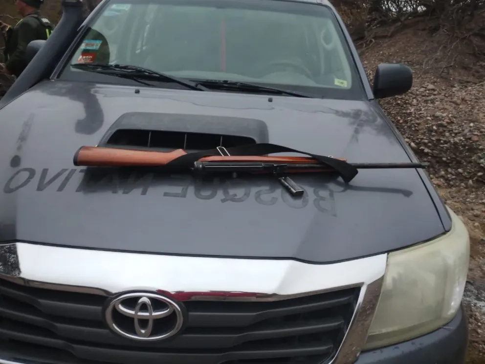 Hallaron a cuatro jinetes cazando animales con armas de fuego