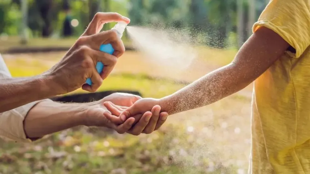 Conocé los mitos y verdades de la enfermedad que transmite el dengue 