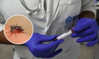 Llegaron reactivos para detectar el dengue y habilitan consultorios exclusivos para casos febriles