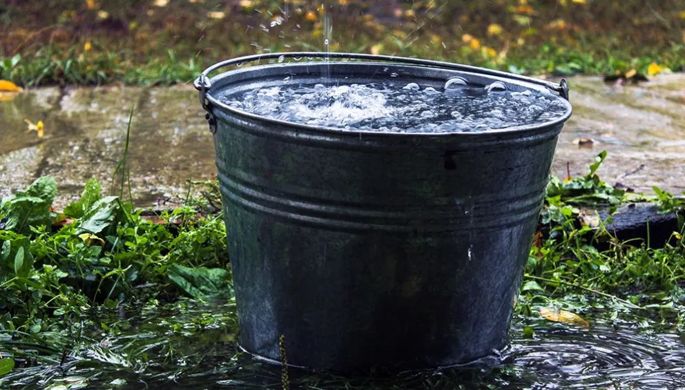 Conocé cuándo vuelven los días de calor y cuáles son las recomendaciones para prevenir el dengue 