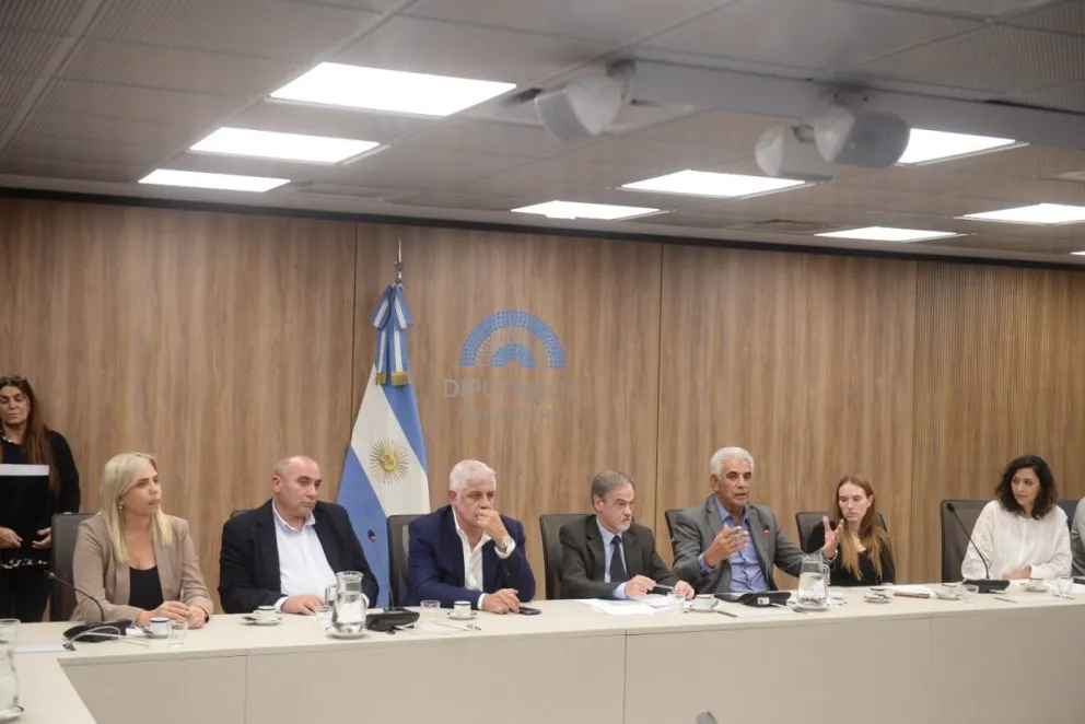 La presidencia de una comisión clave para San Juan en la Cámara de Diputados de la Nación, quedó para Walberto Allende