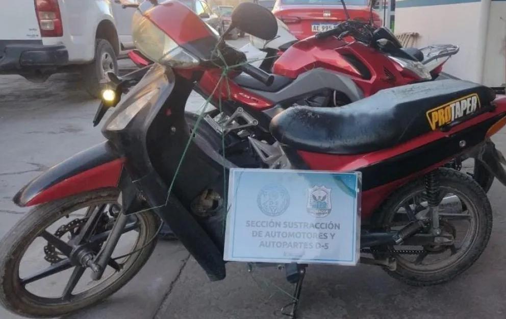 Tras varios operativos, la Policía recuperó ocho vehículos robados