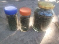 La policía perseguía a un hombre y terminaron encontrando una cosecha de más de 2kg de marihuana en 25 de Mayo
