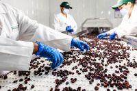 La exportación de productos sanjuaninos se recuperó un 37% en el primer trimestre del año