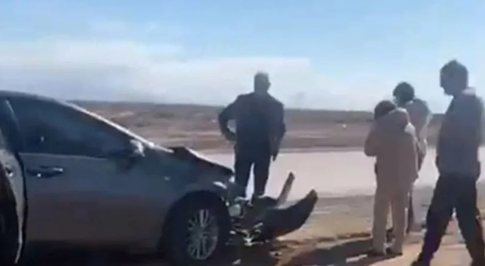 Una pareja de sanjuaninos chocó contra un caballo que se metió a la Ruta 40 y se salvaron de milagro