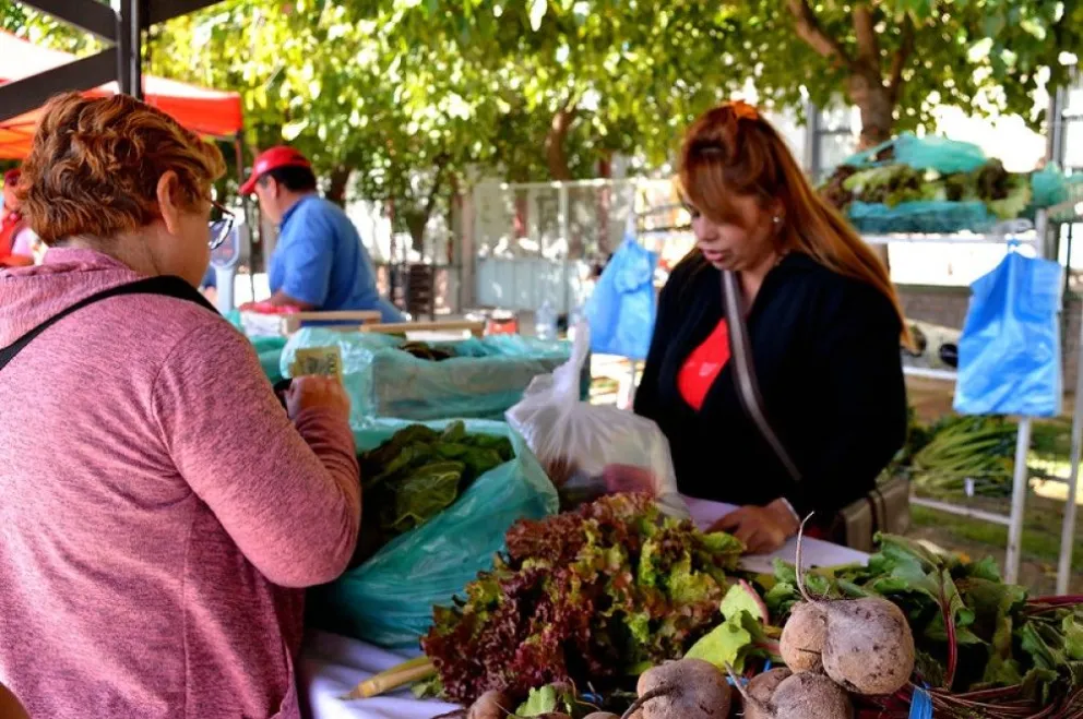 Elementos reciclables por un voucher: la propuesta de la nueva edición de la Feria Agroproductiva