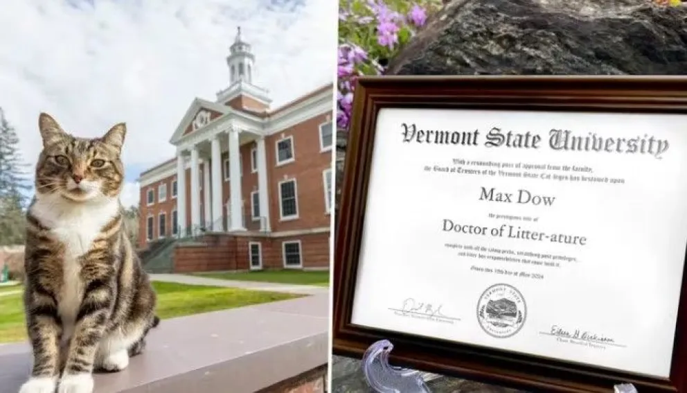 Max: el gato que recibió un título honorífico en la Universidad de Vermont