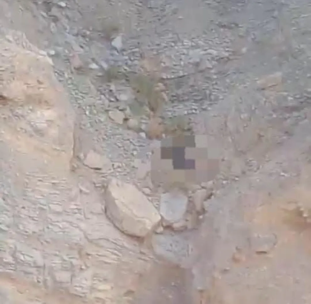 La primera imagen del lugar donde encontraron el cuerpo de Julia Horn