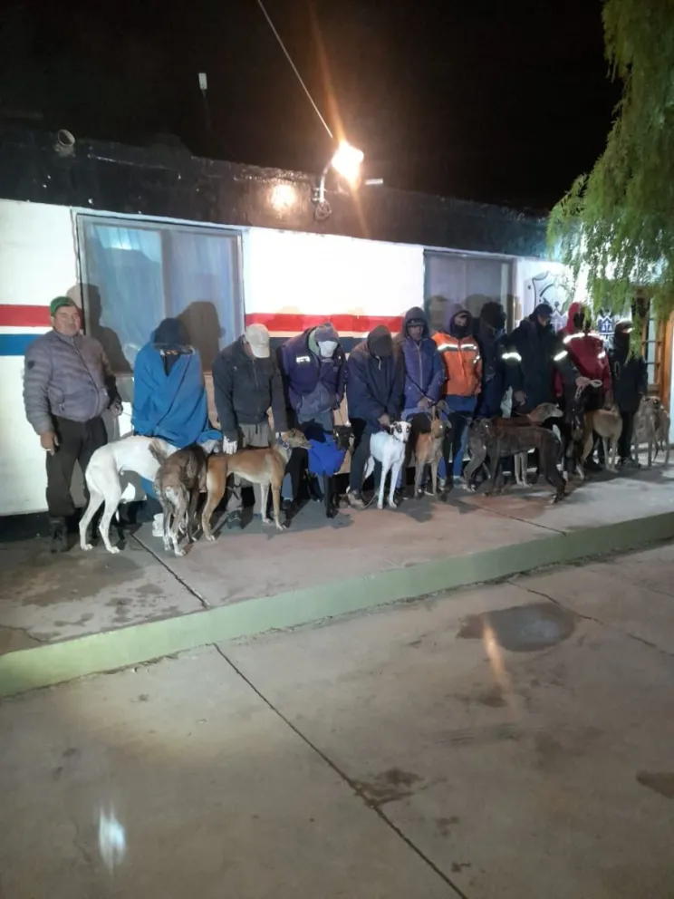 Detuvieron a 14 personas con 16 perros galgos que los trasladaban en camionetas en Caucete 