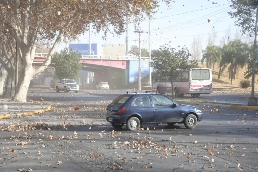 Llegó el viento sur y hará descender la temperatura por la tarde 