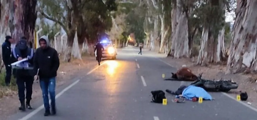 Quedó en libertad el propietario del caballo que provocó la muerte de un motociclista