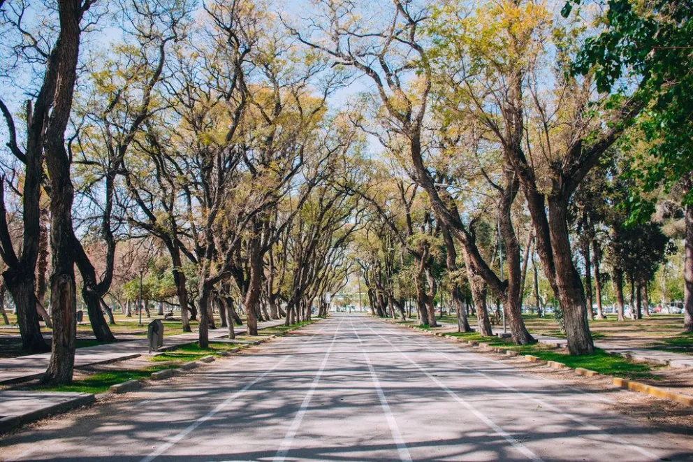 Junto a un menor, robó una mochila en el Parque de Mayo y lo detuvieron: no irá a prisión