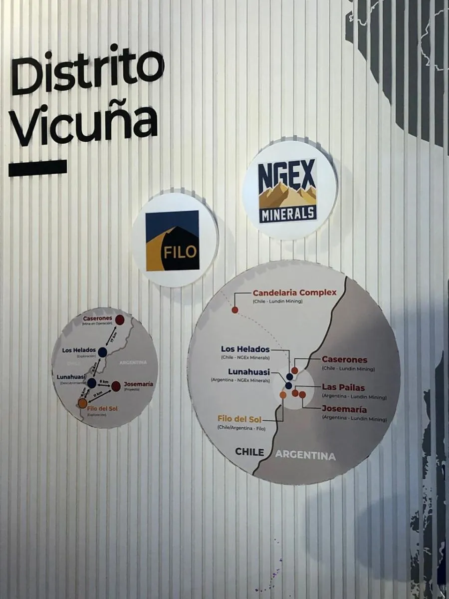 Distrito Vicu&ntilde;a