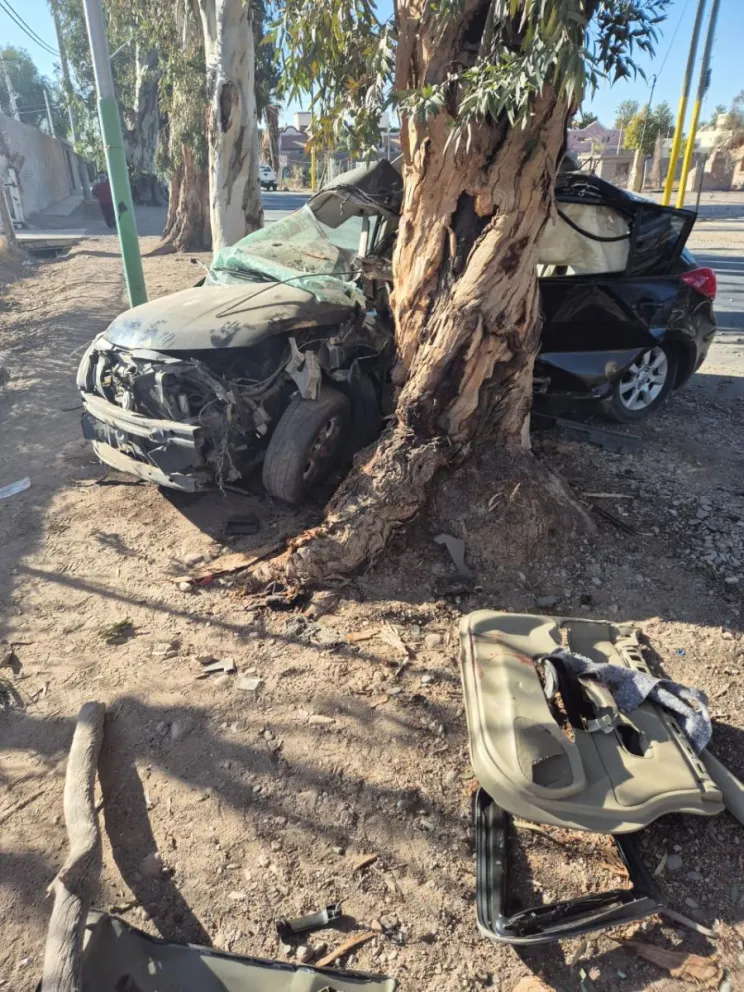 Tremendo. El impacto del automóvil que conducía Mauro Yáñez contra un árbol, que le hizo perder la vida a sus 27 años.