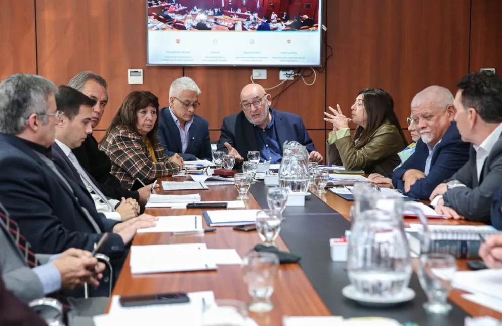 En comisión de Labor Parlamentaria se expusieron los dictámenes de minoría del PJ y del diputado Leopoldo Soler, de Ullum, por el RIGI.