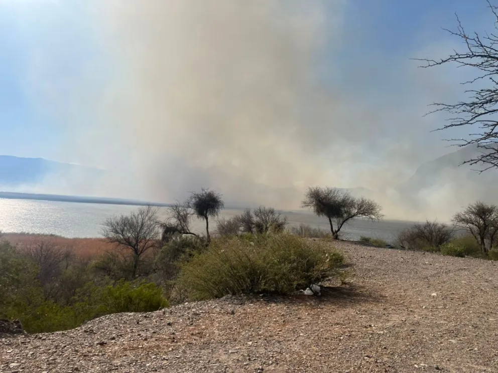 Importante. La magnitud del incendio en las cercanías del Dique Cauquenes, en la siesta del jueves.