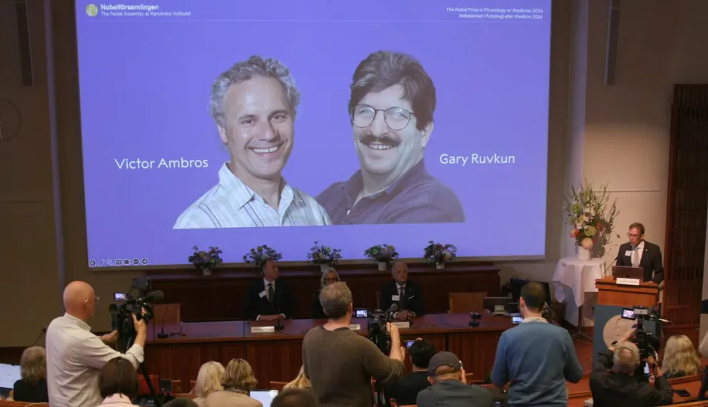 Los microARN que regulan la producción de proteínas ganan el Nobel de Medicina