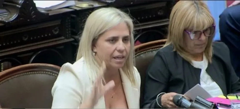 ¿Picón y Moreno rechazarán el veto de Milei al presupuesto universitario?