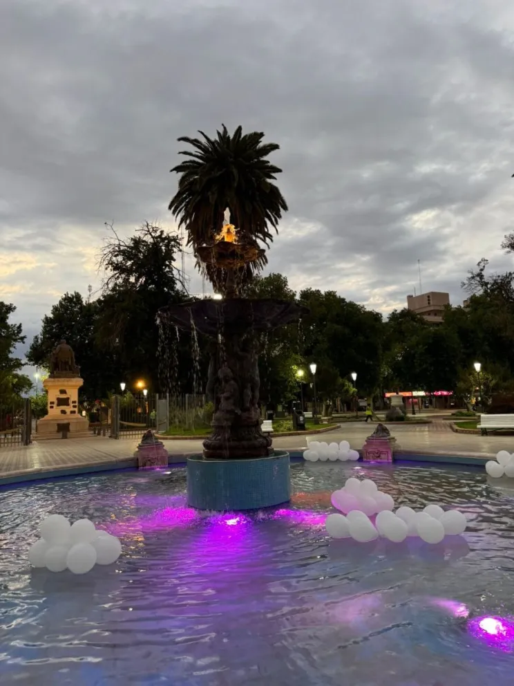 Las calles sanjuaninas amanecieron de blanco en homenaje a Lucía Rubiño