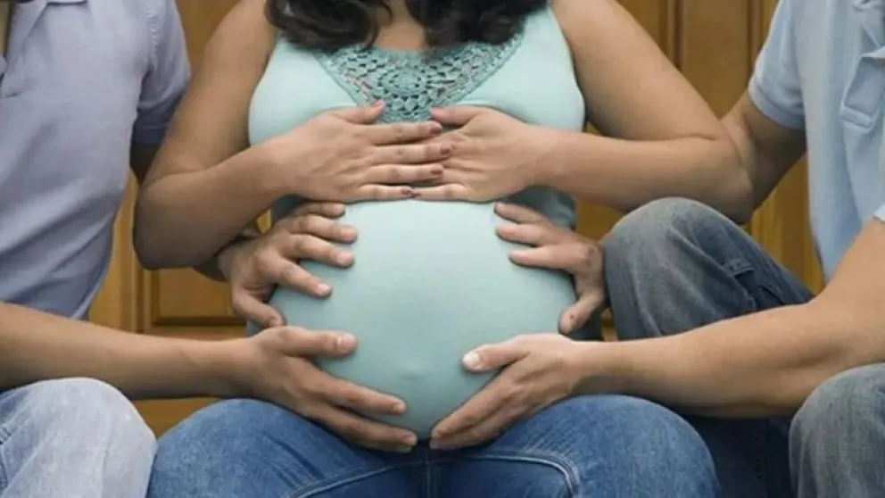 La Corte rechazó la demanda de un matrimonio gay que tuvo un hijo a través de una gestante y reclamaba que se hiciera una nueva partida de nacimiento en donde la mujer no figurara.