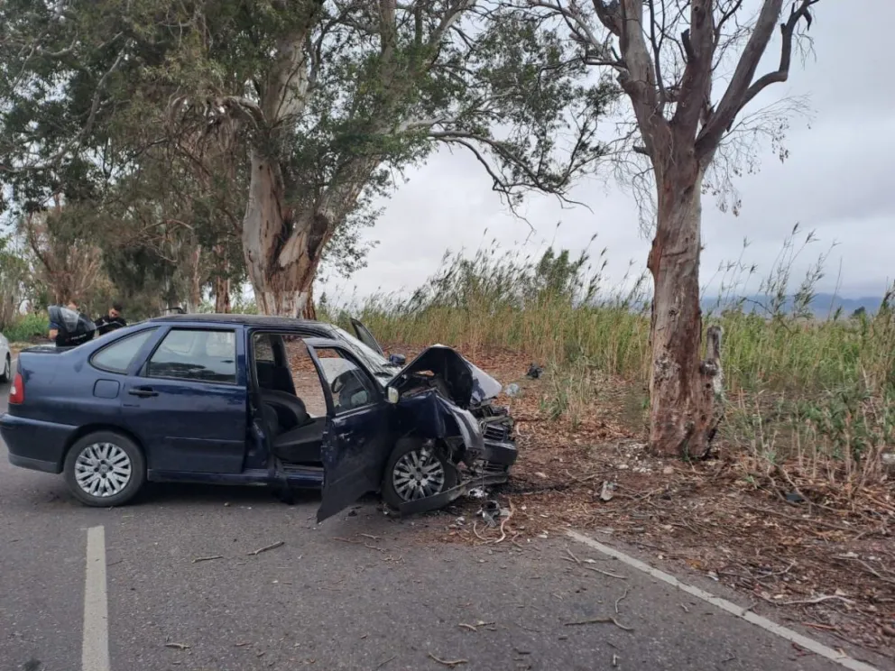 Una joven se quedó dormida al volante y chocó contra un eucalipto