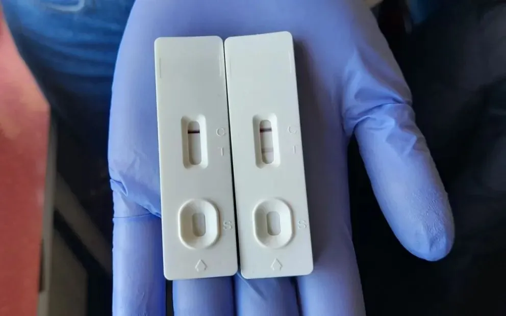 La ANMAT aprobó el primer test de antígeno nacional para el dengue (imagen ilustrativa)