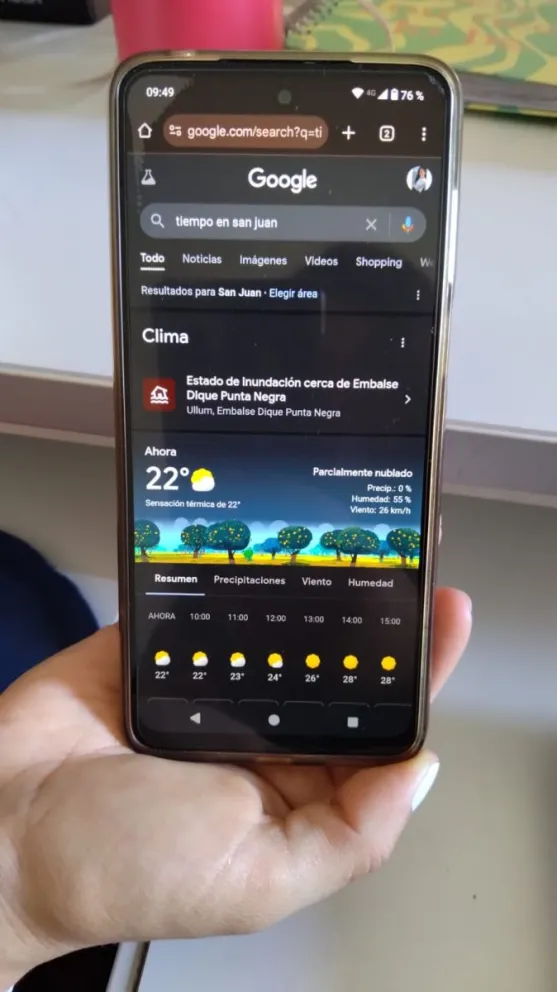 El alerta del buscador. 