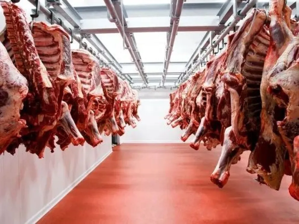 Las exportaciones de carnes batieron récord, pero el consumo interno sigue en caída. 