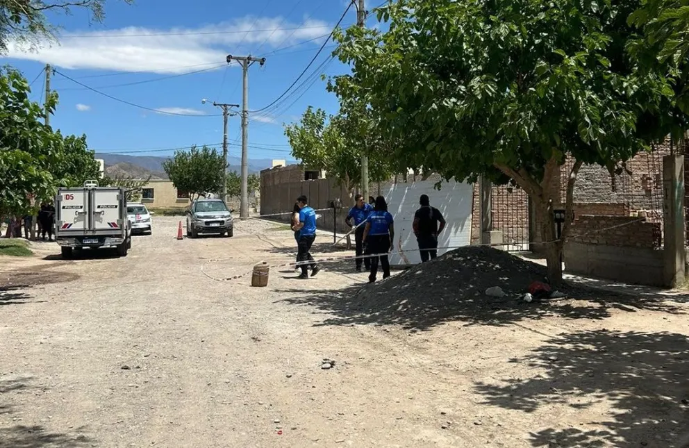Una niña de 5 años murió después que le cayera un portón encima 