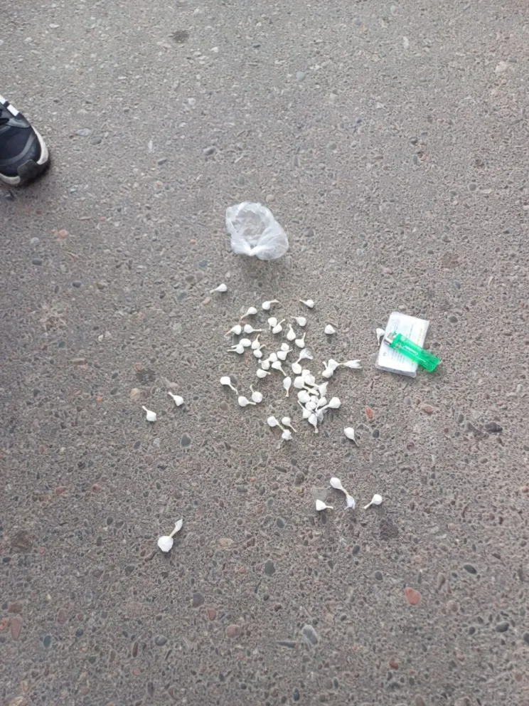 Secuestro de droga. 