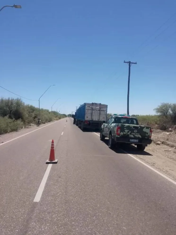 Detuvieron a un camionero con animales faenados en San Martín. 