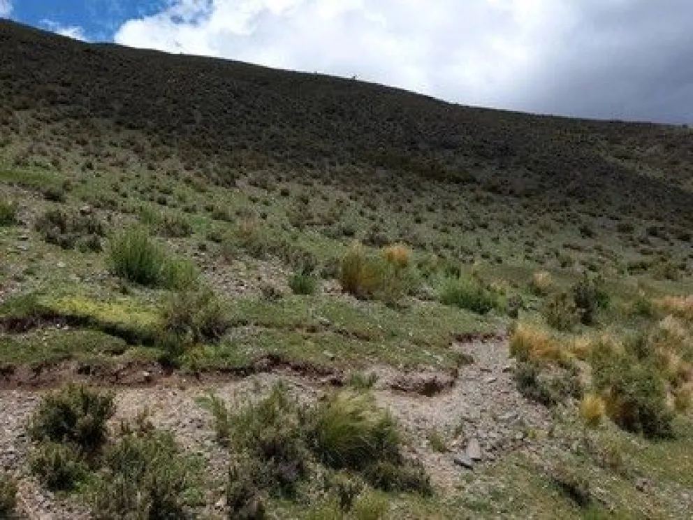 Epicentro. De la búsqueda de los dos hombres en la Pampa de los ratones, en Barreal.