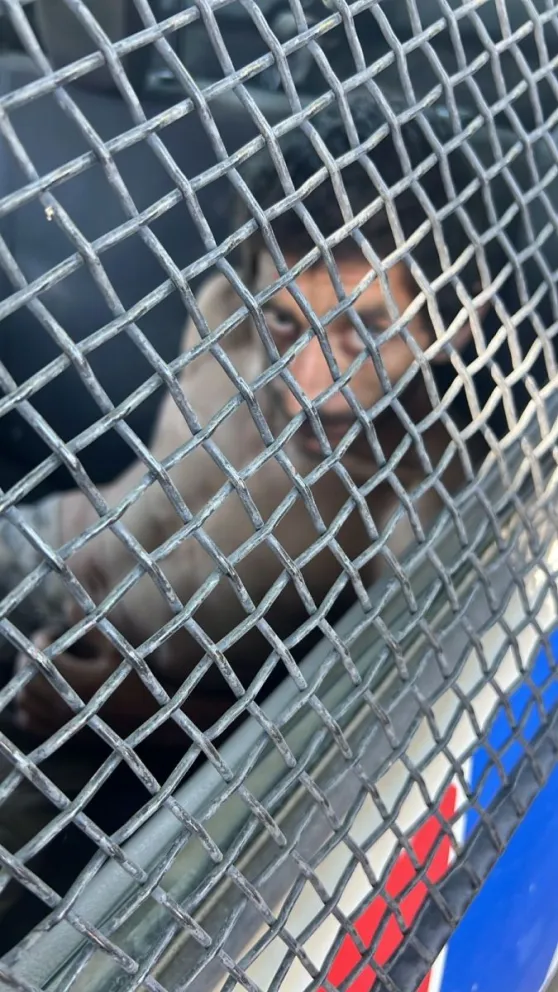 El detenido tiene 29 años y es mendocino. 