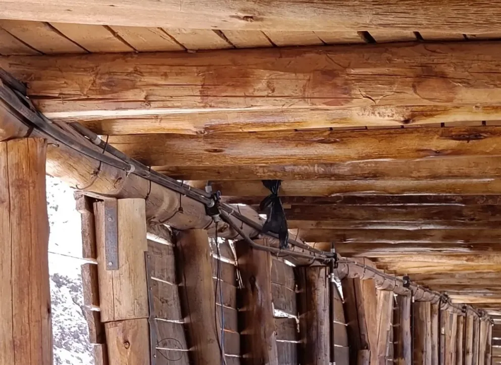 Robaron y vandalizaron el Predio Cerros Colorados en Calingasta 