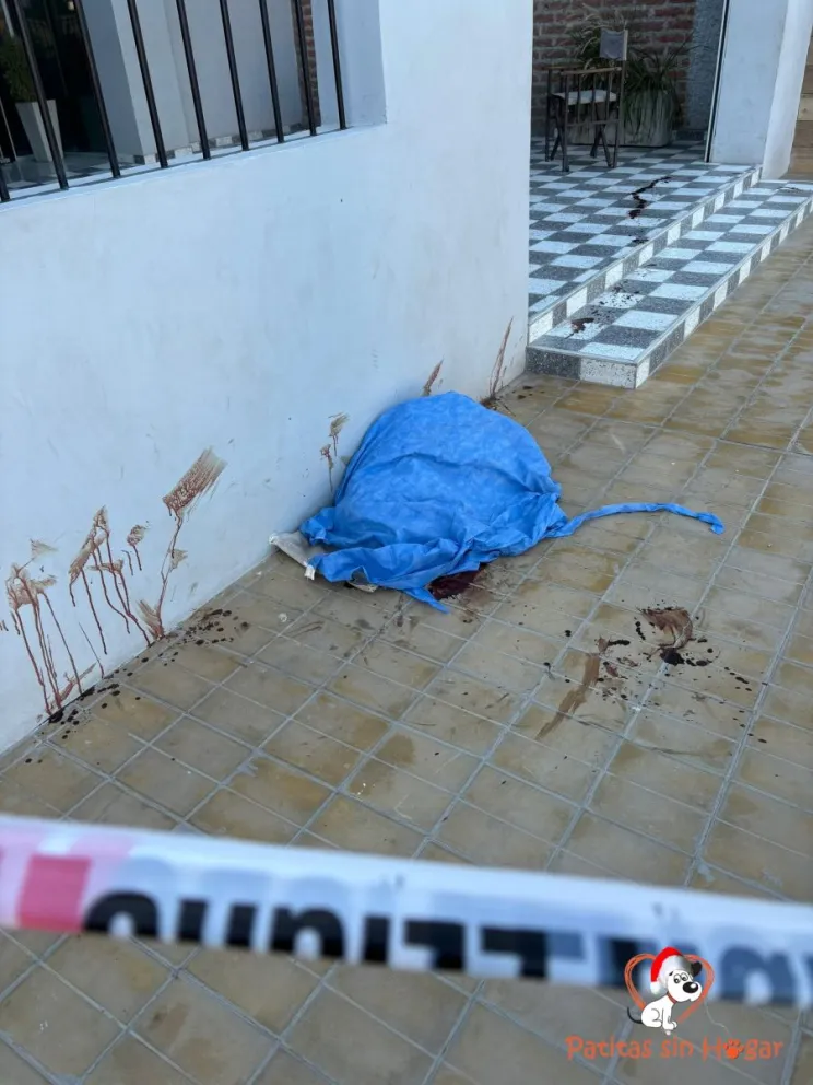 El animal murió en plena vereda. 