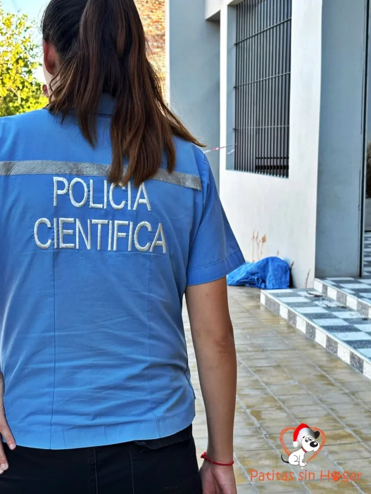 Un hombre que comía en un restaurante de Chimbas apuñaló y mató a un perro