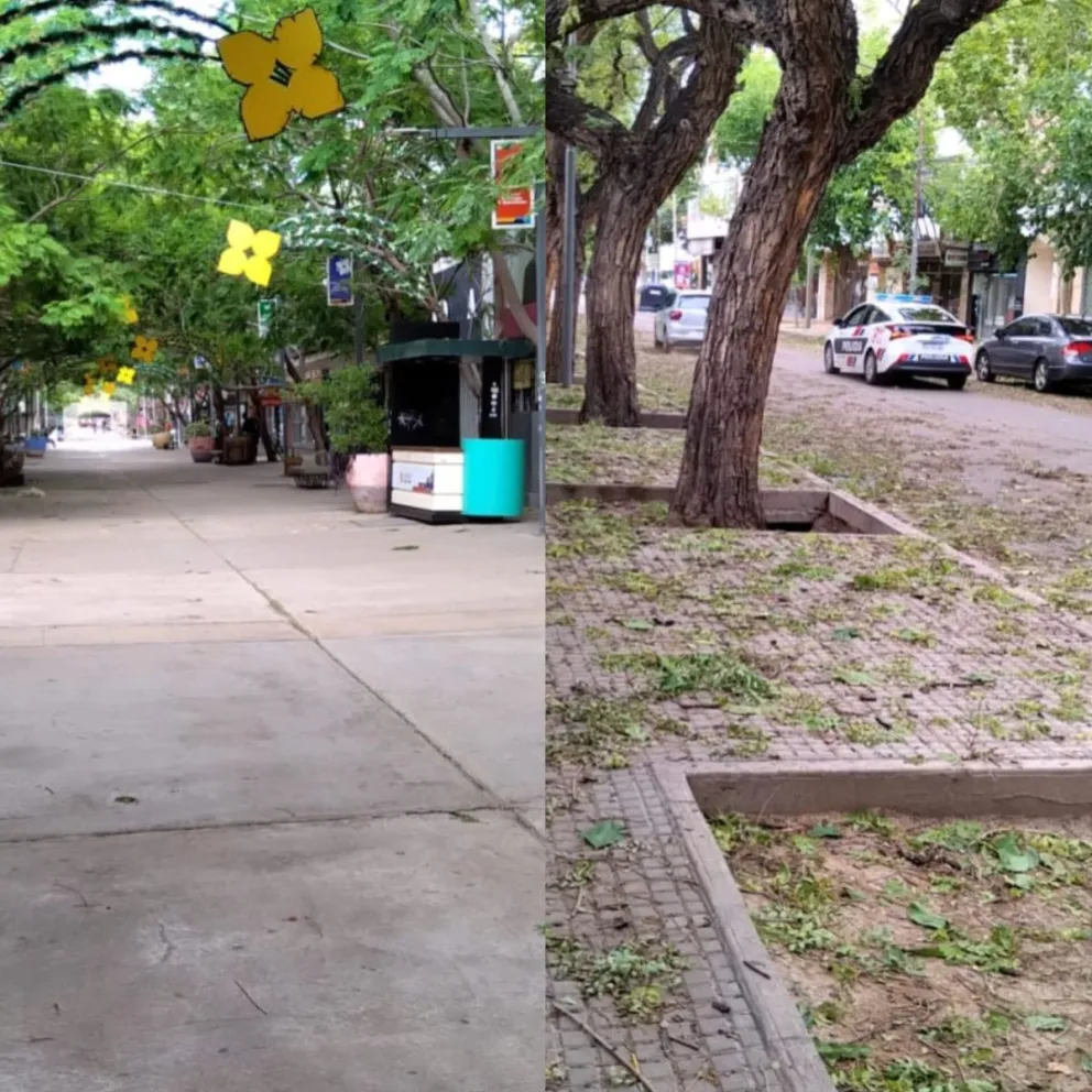 El día después de la brutal granizada: microcentro limpio y alrededores llenos de hojas de los árboles. 