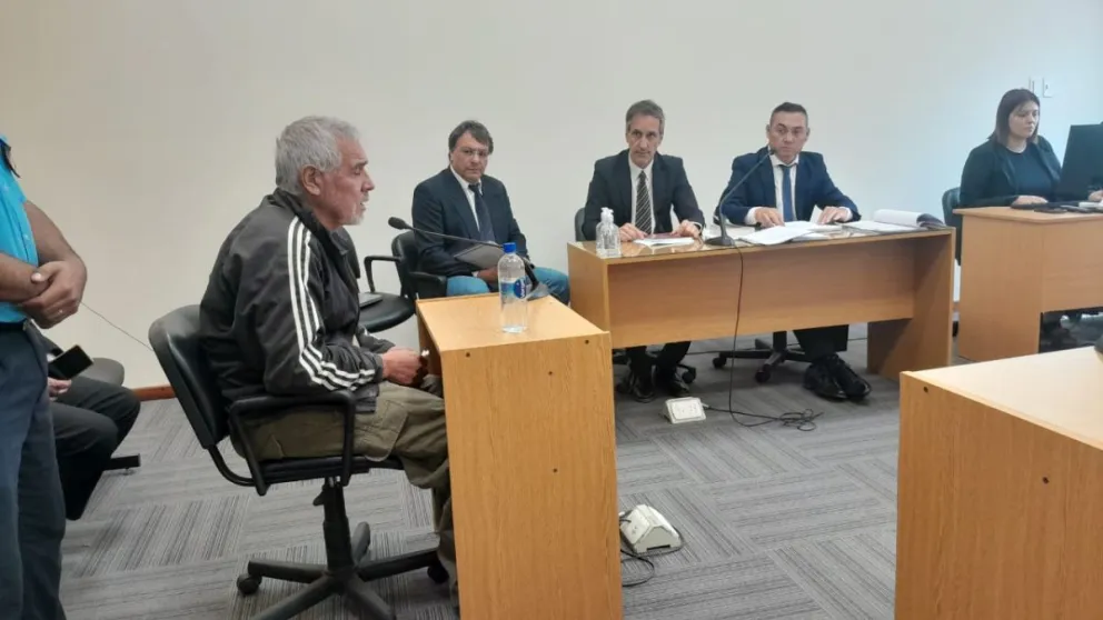 Condenaron a un año de prisión condicional al hombre que mató de una puñalada a un perro en Chimbas