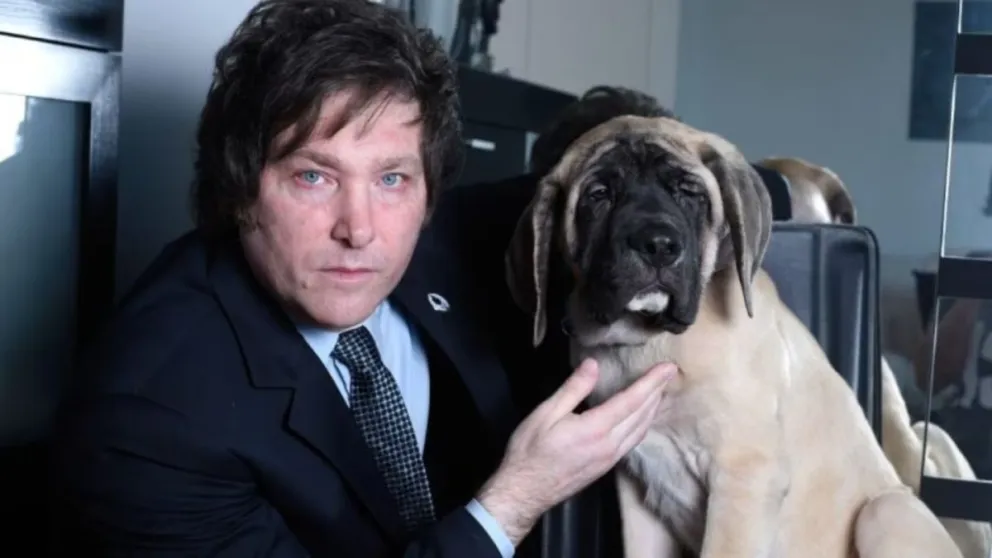 El oficialismo, junto con aliados como el PRO, impulsará en 2025 la “Ley Conan”. 