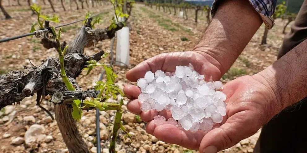 Hasta el momento, se registraron 215 denuncias de productores afectados por el granizo. 