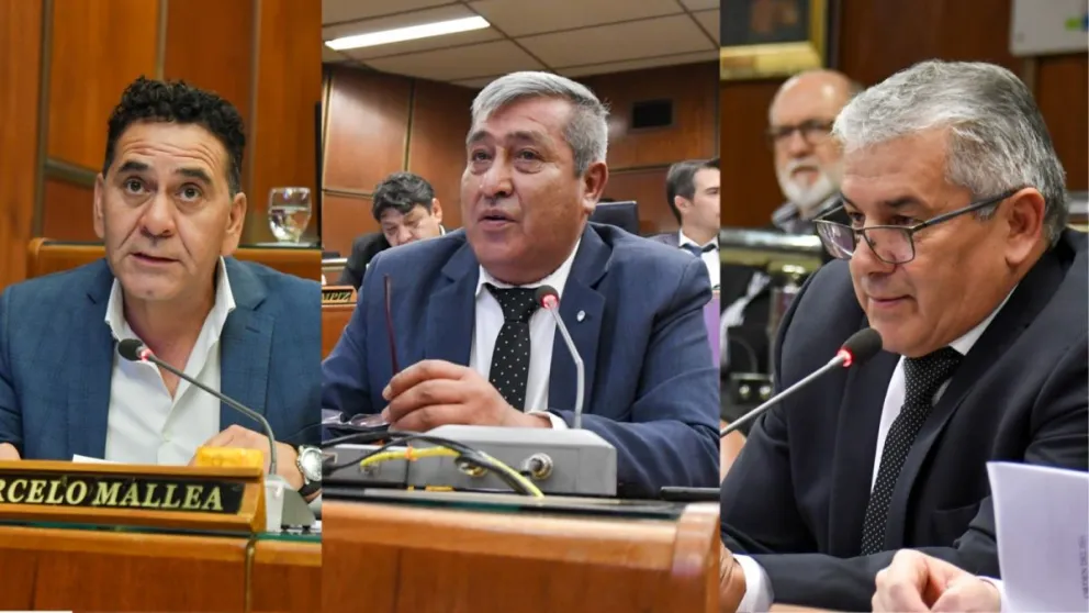 Posturas. Desde la izquierda, Marcelo Mallea, de Angaco; Jorge Castañeda, de Calingasta, y Omar Ortiz, de Valle Fértil.