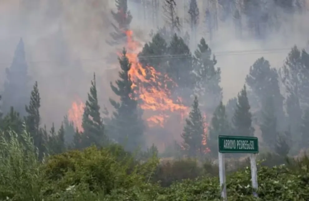 Un incendio forestal en Chubut arrasó con miles de hectáreas. 