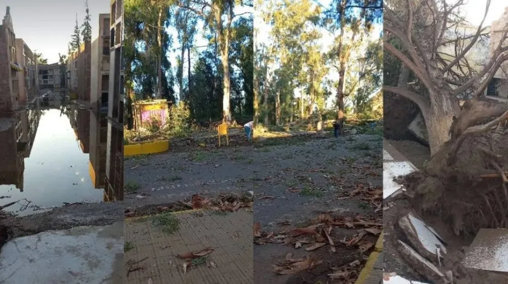 Gentileza: El bastón.