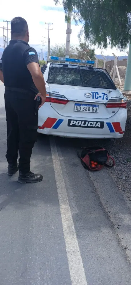 Entraron a una finca, robaron tomate y los detuvieron