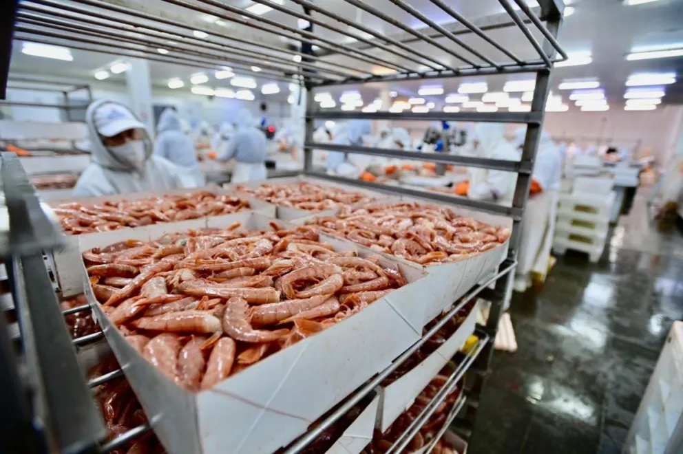 El Grupo dueño de Gualcamayo compró una importante empresa pesquera de Chubut. 