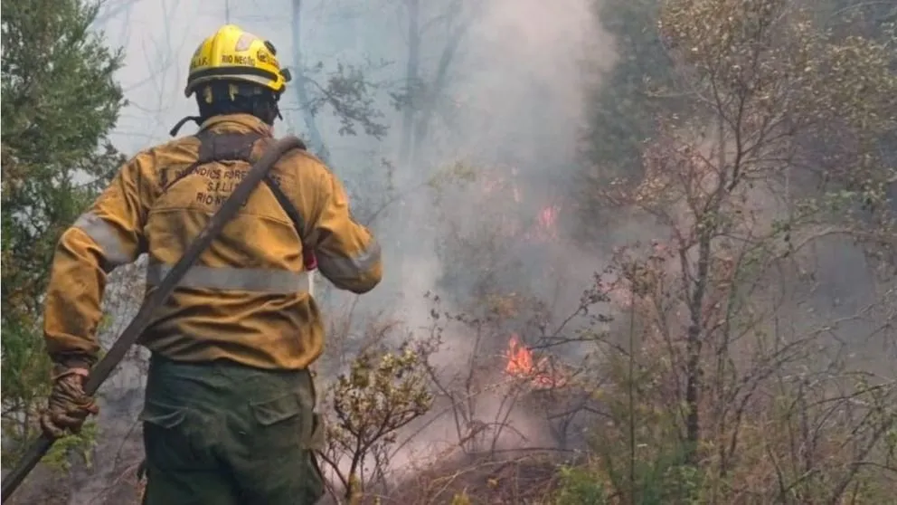 Identificaron a los responsables del incendio en El Bolsón.