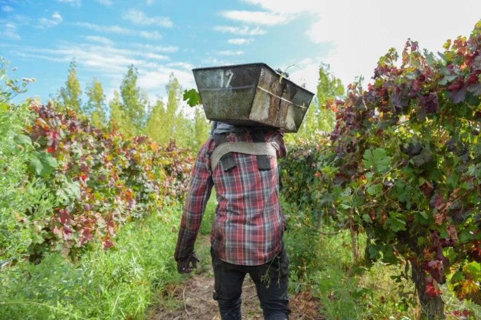 La provincia aumentó las lineas de crédito para fortalecer la cosecha 2026.