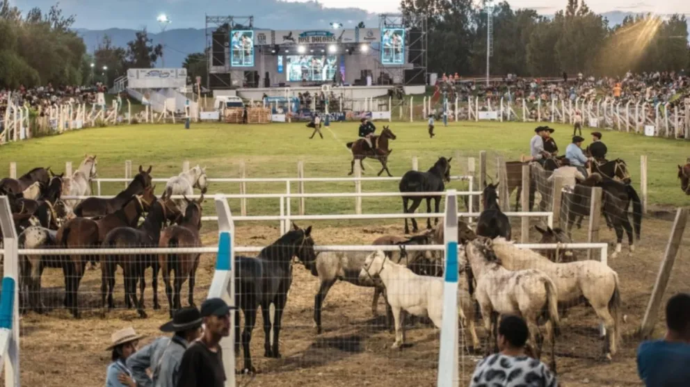 0264 Noticias transmitirá en vivo la Fiesta Nacional de las Destrezas Criollas