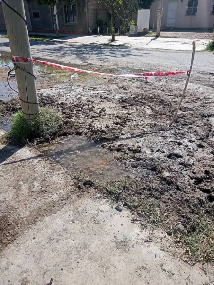 Gentileza: 'La noticia caucetera'